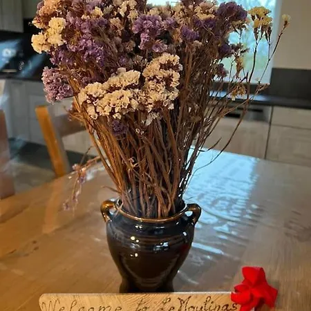 With Swimming Pool Le Moulinas * Saint-Salvadou